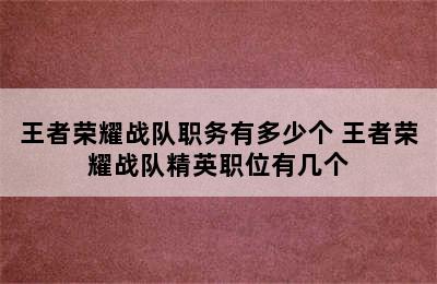 王者荣耀战队职务有多少个 王者荣耀战队精英职位有几个